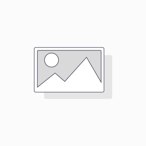 pEnCMV-UCN-3×FLAG - 2ug