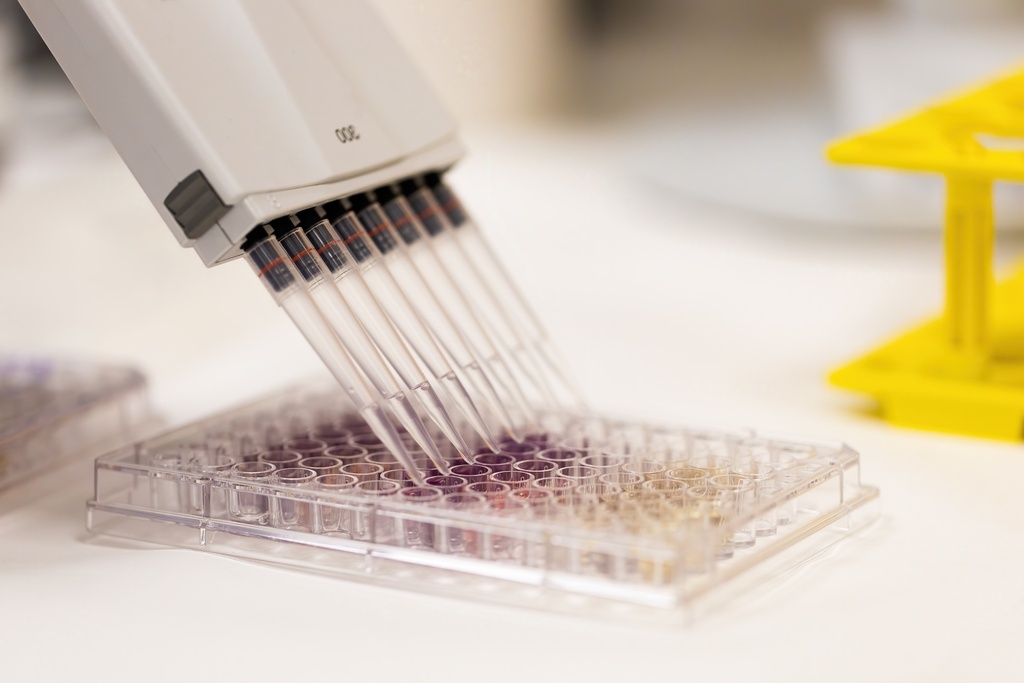 384-well NX PCR Plate, Green 50 plates