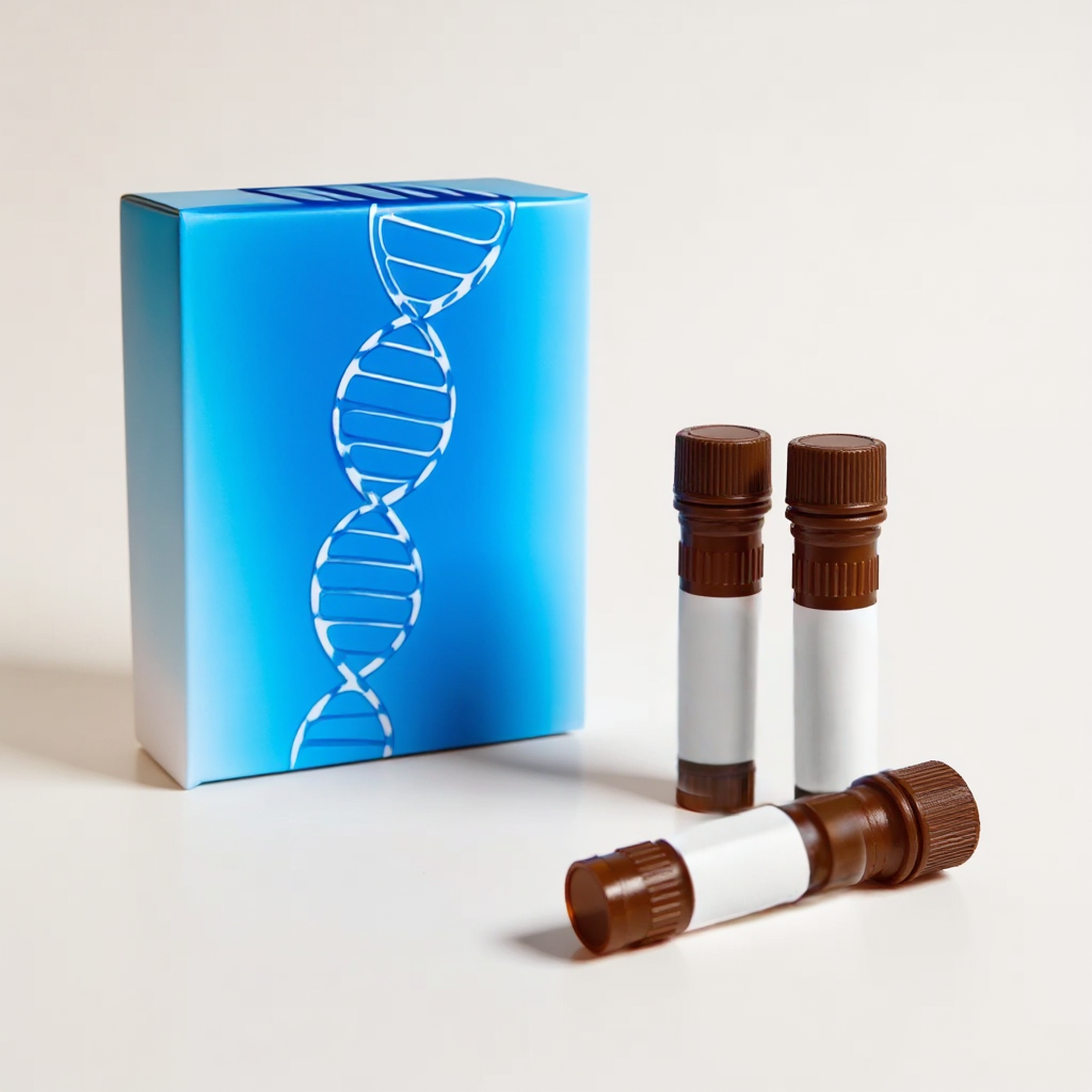 5-TAMRA; 5' Modification-200 nmol