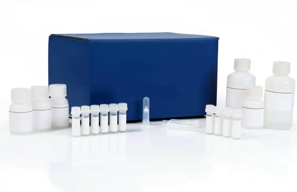  Ascorbic Acid Assay Kit
