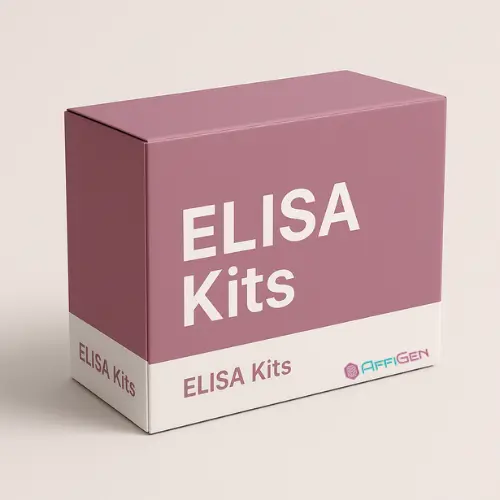 Rat Angiotensin- 1, ANG- 1 ELISA Kit - 96tests