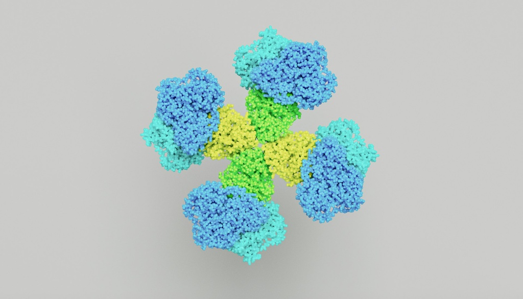 V5- Tag Mouse Monoclonal Antibody - 100µg
