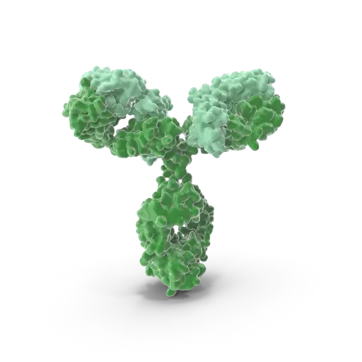 [ABD3020] PHF1 Antibody - 100µg