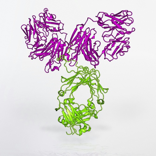 [ABD7514] pan Cadherin Antibody - 100µg