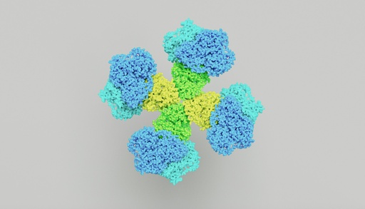 [T0020] V5- Tag Mouse Monoclonal Antibody - 100µg