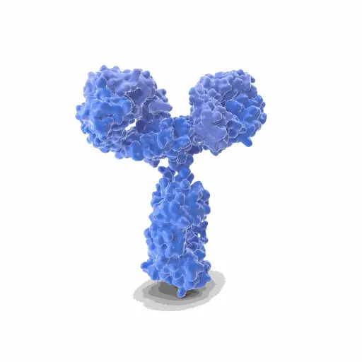 [ABD10168] PODN Antibody - 100µg